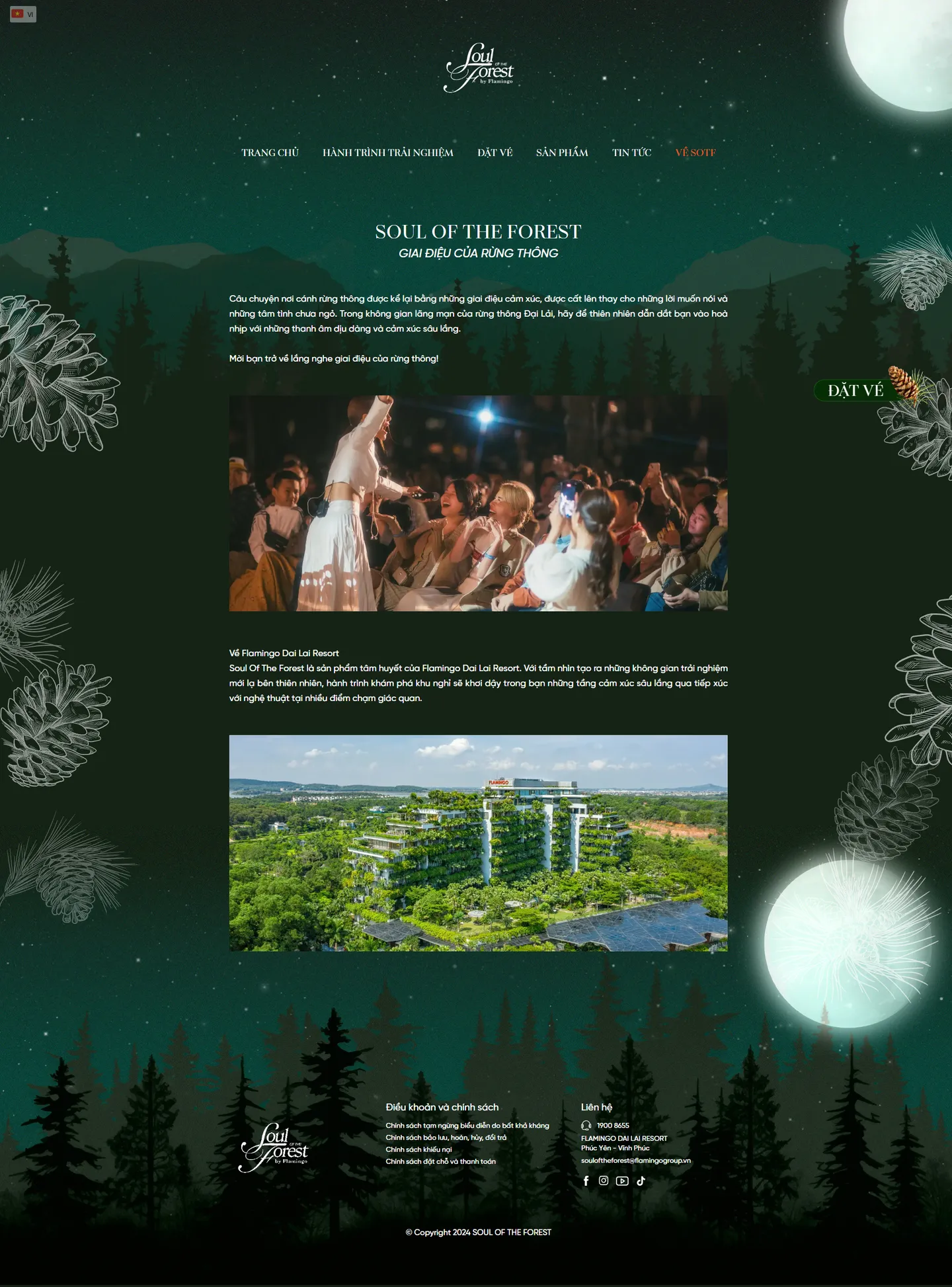 Soul Of The Forest - About